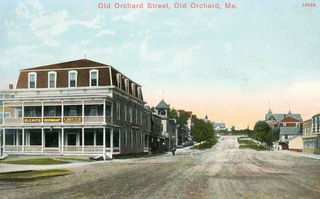 Postcard Early View of Old Orchard Street in Old Orchard, ME. P5 Etsy
