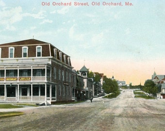 Carte postale vintage Old Orchard Street - Souvenir de voyage dans le Maine