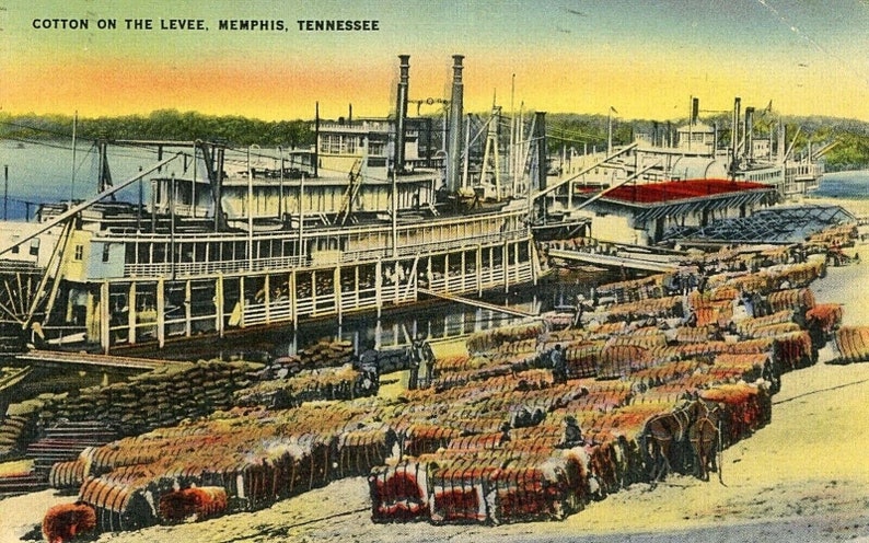 Carte postale vue précoce de coton sur la digue à Memphis, TN. Y9 image 1