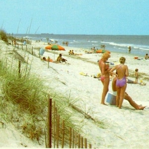 Vista de cartão postal das dunas e bela vista para o mar em Virginia Beach, VA. Q5