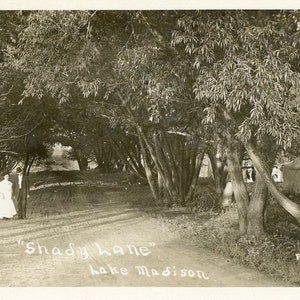 Carte postale RPPC Vue de Shady Lane à Lake Madison, MN. AA6