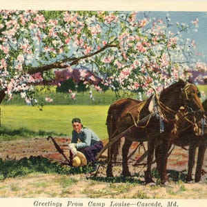 Cartão postal antigo "Saudações do acampamento Louise", Cascade, MD. Z7