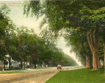 Postkarte Frühe Ansicht der Nordstraße, schauend nach Norden in Litchfield, CT.      Y6