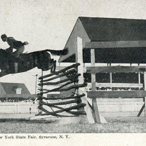 Postkarte Antike Ansicht der Pferdehoch springen, NY State Fair, Siracuse, NY. L8
