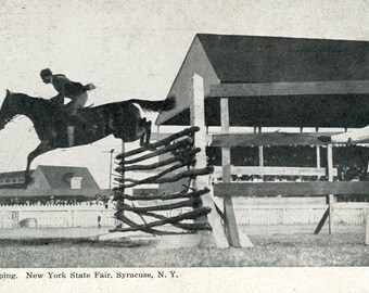 Postcard Antique View of Horse High Jumping, NY State Fair, Syracuse, NY. L8