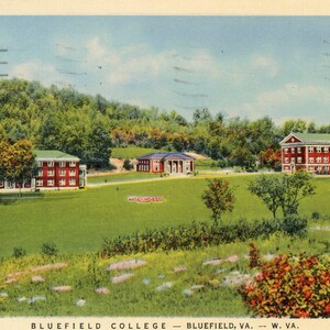 Puede incluir: Postal antigua que muestra el Bluefield College en Bluefield, Virginia. La imagen muestra varios edificios de ladrillo rojo con columnas blancas y tejados verdes sobre un campo de hierba, con árboles y cielo azul.