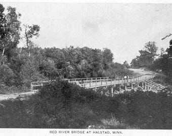 Postcard Early View of Red River Bridge in Halstad, MN. W5