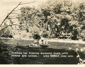 Cartão Postal Vista RPPC de Cavalo e Vagão no Rio Shoshone, Cody, WY. aa6