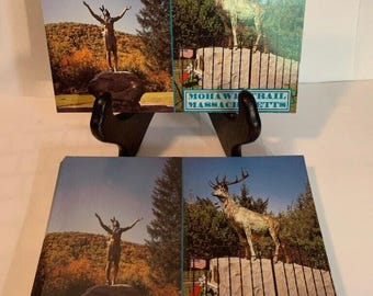 Postcard Lot of 50 4 x 6 Mohawk Trail, MA. 2 Views. Uncirculated. A1