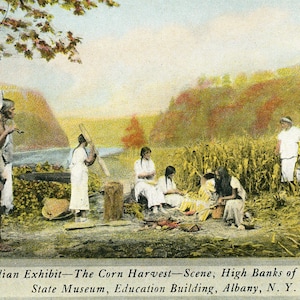 Postal de la exposición de la cosecha de maíz iroquesa, escena del río Genesee, Albany, Nueva York.