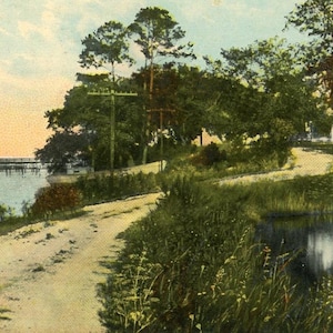 Carte postale Early View of Lovers Lane dans BILOXI MS. K4/