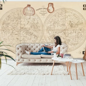 Vintage 1840 Himmelskugeln Wandbild - abnehmbare Tapete - Peel Stick Sternkarte - altes Zodiac Constellation Astronomy Chart Wandtattoo