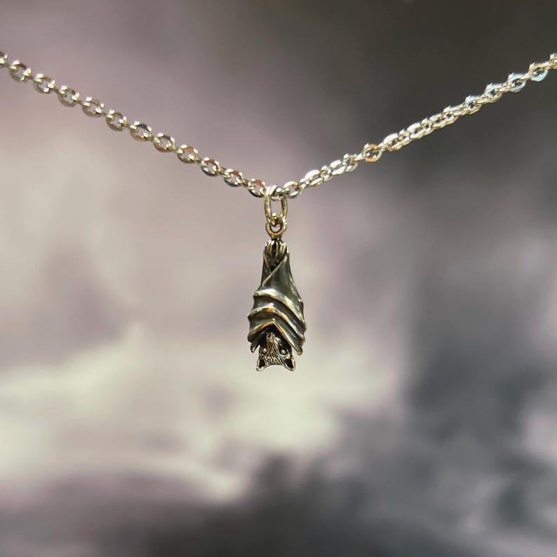 Puede incluir: Un colgante de murci&eacute;lago plateado cuelga de una fina cadena. El colgante presenta un dise&ntilde;o detallado de murci&eacute;lago con alas plegadas. El fondo es un degradado suave y borroso de gris y blanco.