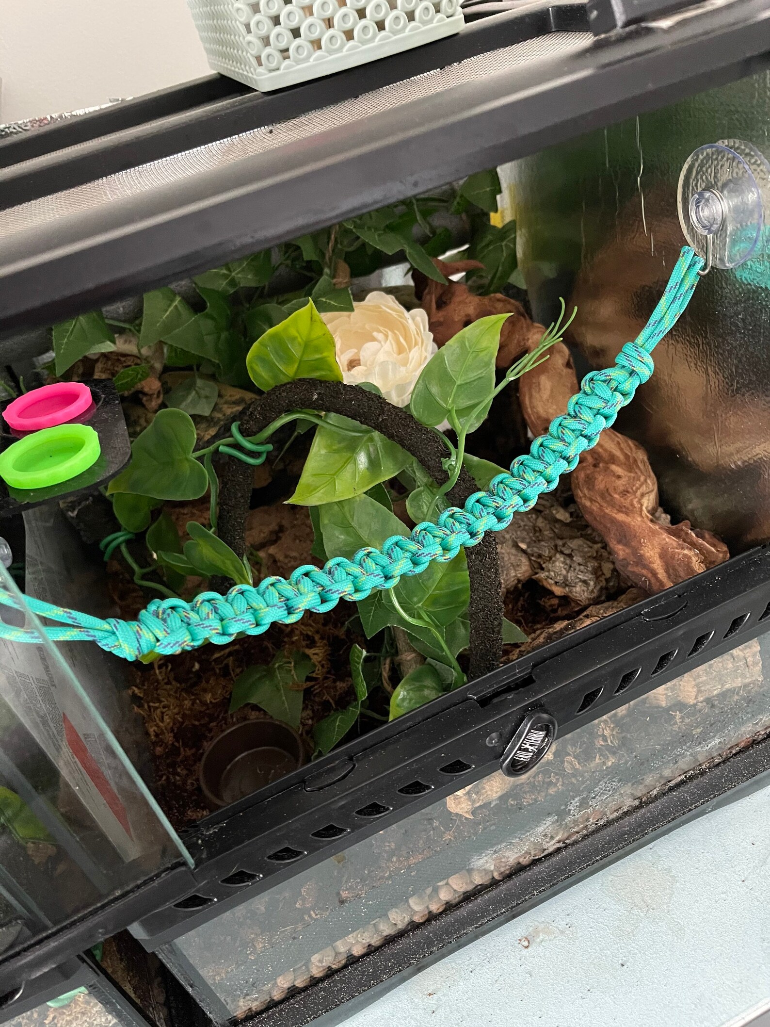 Original Paracord Reptile Vine / Climbing Rope / Bridge With Etsy