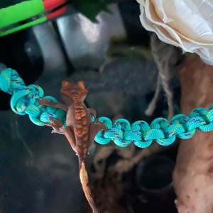May include: A brown and orange gecko with a yellow tail is climbing on a blue and green rope. The gecko is in a terrarium with a white flower and green plants.