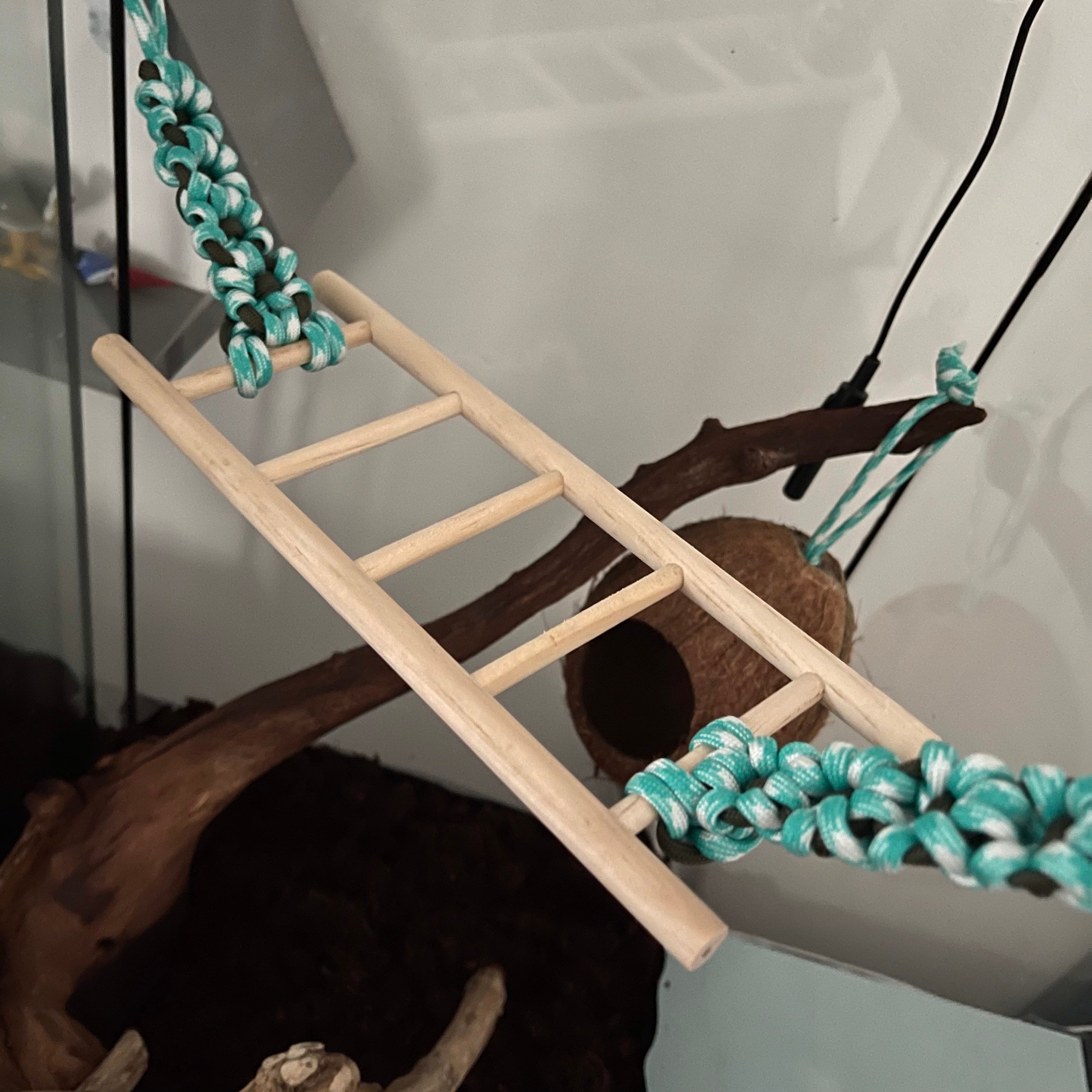 Flower design wooden reptile ladder bridge Small / climbing Etsy