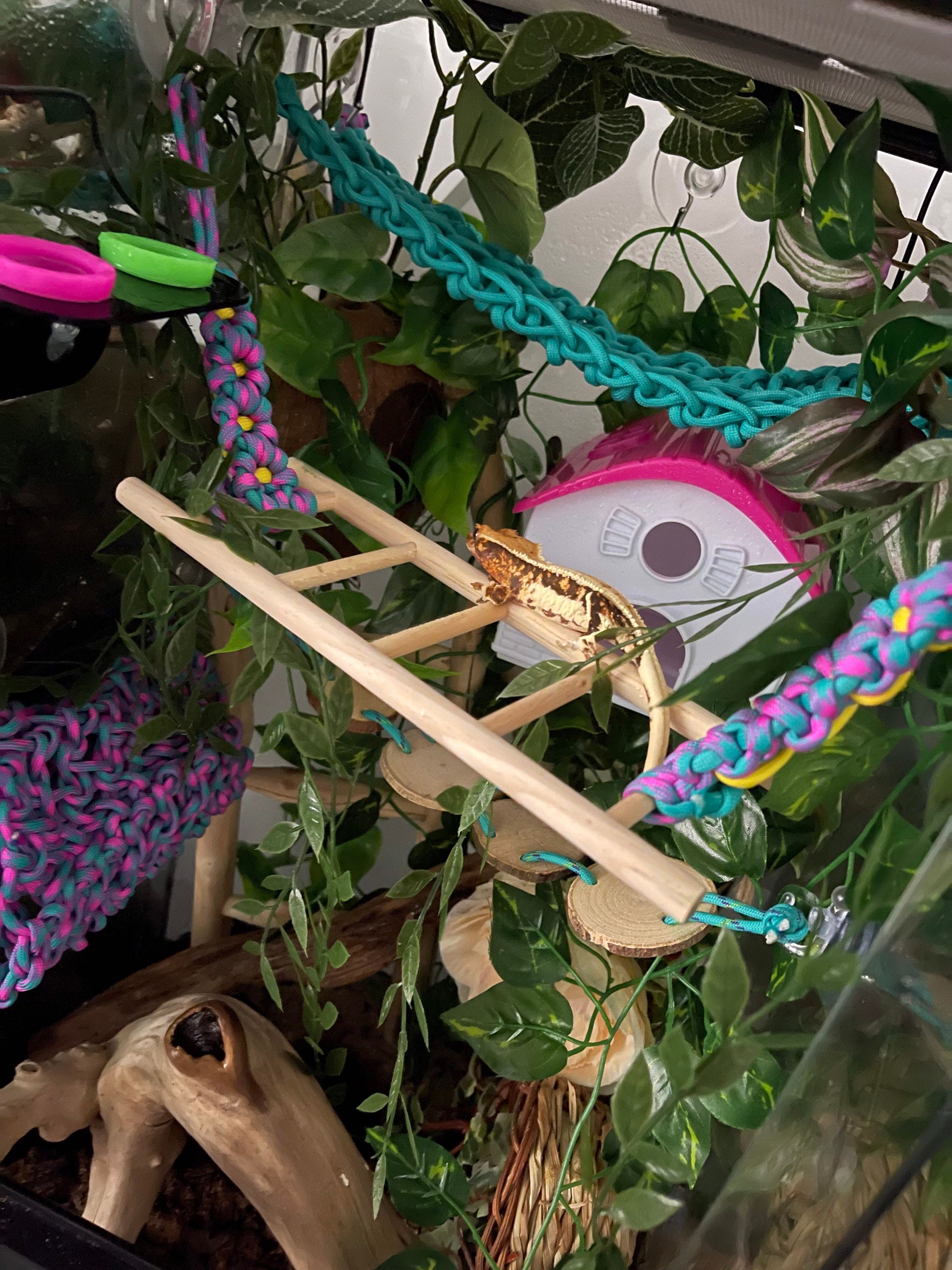 Flower design wooden reptile ladder bridge Small / climbing Etsy