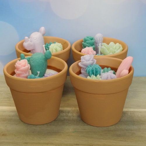 Succulent Beeswax Dough Bowl Candle All Natural Etsy