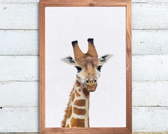 Safari Giraffe Wall Art Print for Nursery & Kids Bedroom - African Wild Jungle Animal Wall Art | Poster Décor