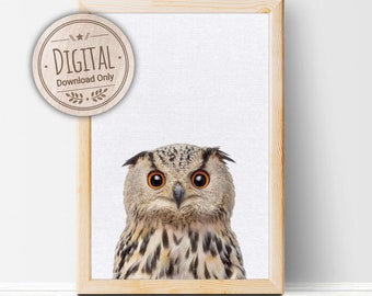 Woodland Owl Wall Art for Nursery Room & Kids Bedroom - Baby Animal Wall Art | Printable Art | Digital Download