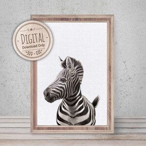 Safari Zebra Wall Art for Nursery Room & Kids Bedroom - African Wild Jungle Animal Wall Art | Printable Art | Digital Download