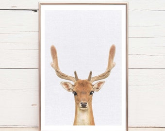 Deer Wall Art Print for Nursery & Kids Bedroom - Caribou Reindeer | Woodland Wild Jungle Animal Wall Art | Poster Décor