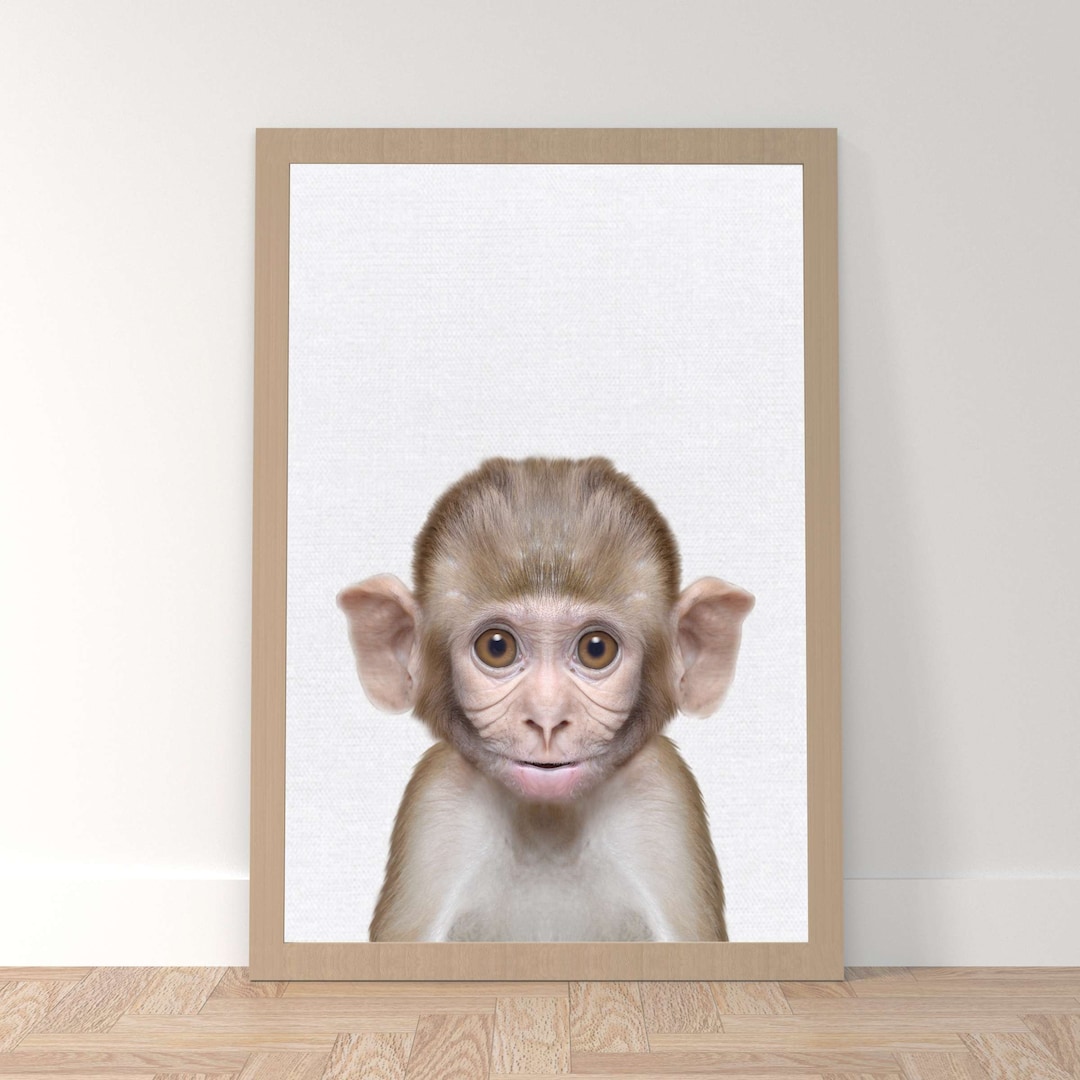 Monkey Wall Art Print for Nursery & Kids Bedroom Jungle Baby Etsy