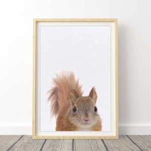 Woodland Squirrel Wall Art Print for Nursery & Kids Bedroom - Baby Animal Wall Art | Poster Décor