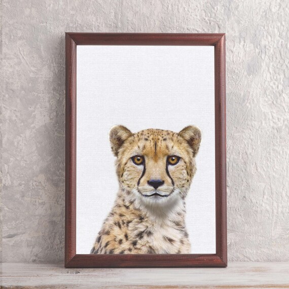 Safari Cheetah Wall Art Print for Nursery Kids Bedroom African Wild Jungle Animal Wall Art Poster Decor Etsy