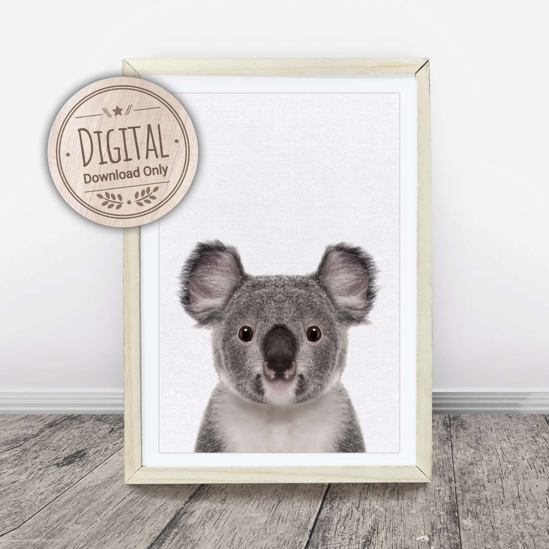 Koala Wall Art for Nursery Room, Kids Bedroom - Australian Animal Wall ...