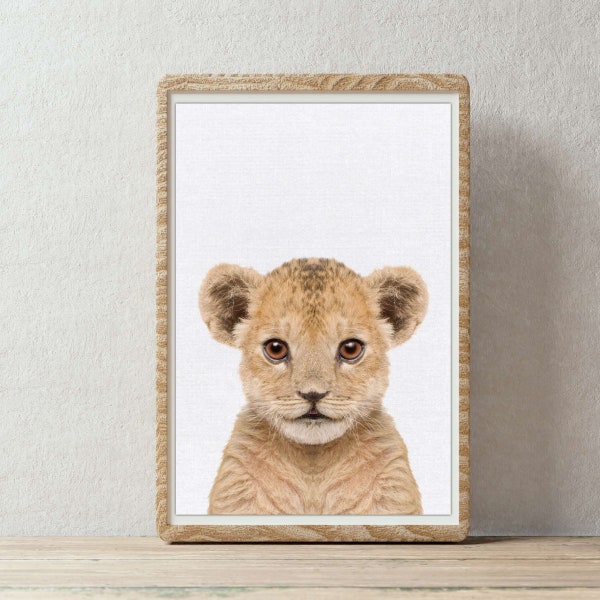 Lion Wall Art Etsy Australia