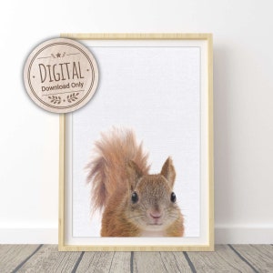 Woodland Squirrel Wall Art for Nursery Room & Kids Bedroom - Baby Animal Wall Art | Printable Art | Digital Download
