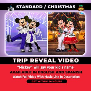 Video personalizzato di presentazione del viaggio a sorpresa, messaggio personalizzato di Topolino e Minnie, presentazione del viaggio a sorpresa di Natale, presentazione del viaggio magico
