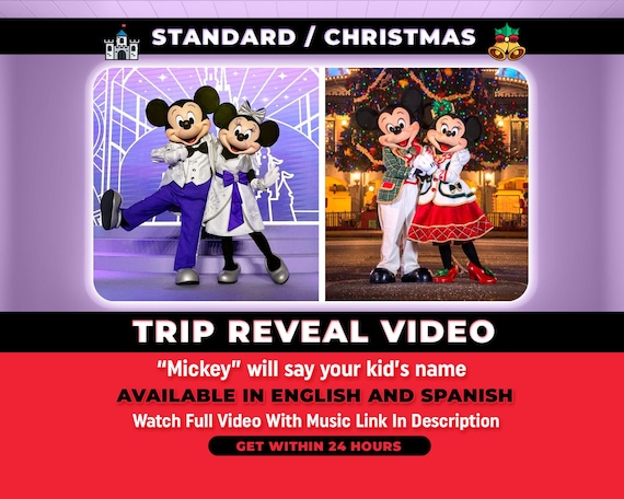 Personalized Surprise Trip Reveal Video, Custom Message from Mickey and Minnie Mouse, Christmas Surprise Trip Reveal, Magical Trip Reveal