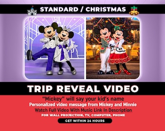 Personalized Surprise Trip Reveal Video, Custom Message from Mickey and Minnie Mouse, Christmas Surprise Trip Reveal, Magical Trip Reveal