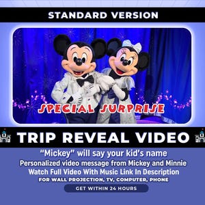 Video personalizzato di presentazione del viaggio a sorpresa, messaggio personalizzato di Topolino e Minnie, presentazione del viaggio magico, parco a tema Florida California Parigi