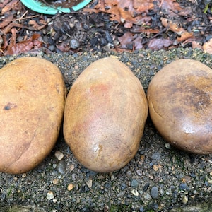 Bags of 3, Natural Smooth River Rocks for Painting, Aquariums, Terrariums +++ Take Your Pick!