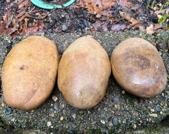 Bags of 3, Natural Smooth River Rocks for Painting, Aquariums, Terrariums +++ Take Your Pick!