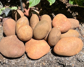 BAKERS DOZEN (13) Natural Smooth River Rocks for Painting, Aquariums, Terrariums plus much more