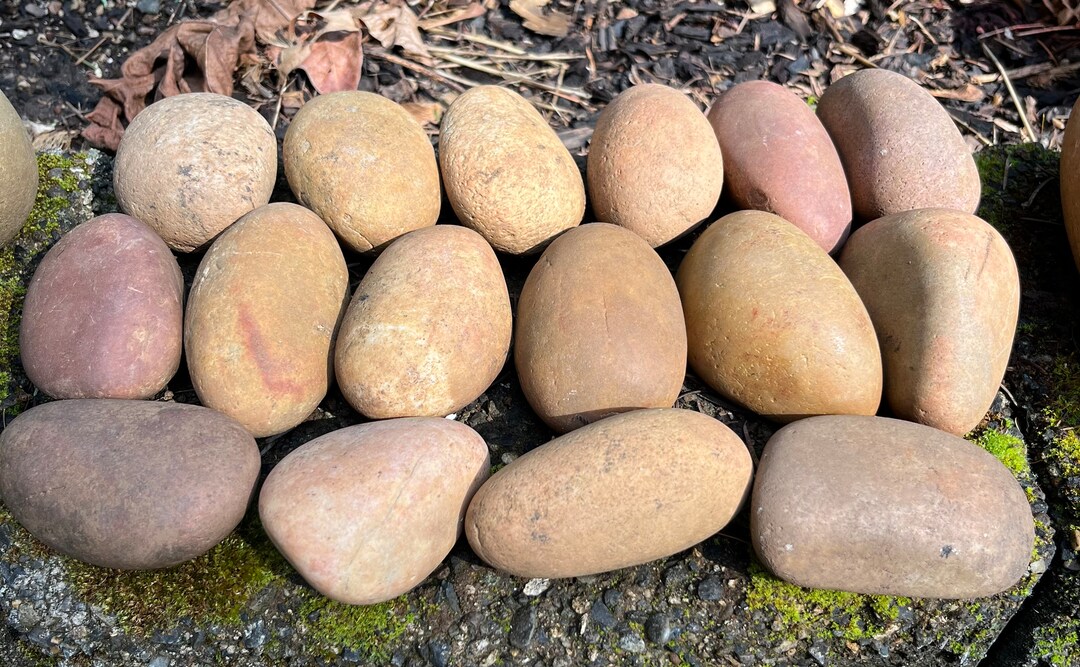50PCS Rocks For Painting 2-3 Inches Natural Smooth River Rocks For Crafts Art