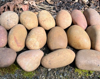 Bags of 16, Natural Smooth River Rocks for Painting, Aquariums, Terrariums +++ Take Your Pick!