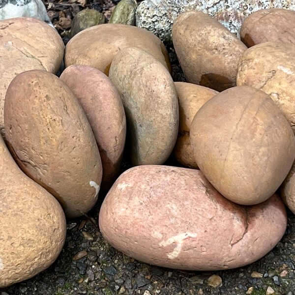Rocks for Painting Etsy