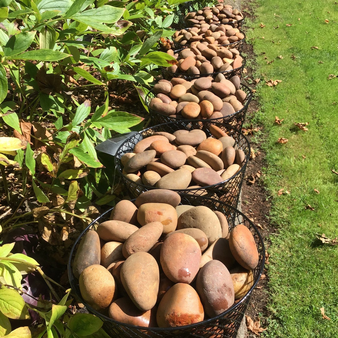 Natural Smooth River Rocks for Painting, Aquariums, Terrariums + 5 to ...