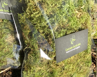Premium Quality Dried Natural Tree Moss - 9x12” Bags, Offering Different Varieties