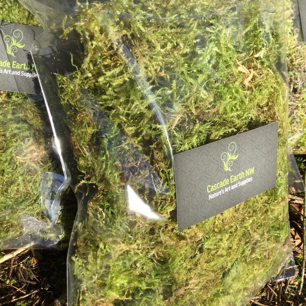 New Moss In Stock! Premium Quality Dried Natural Tree Moss - 9x12” Bags, Offering Different Varieties