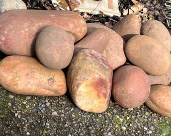 Color Matched Sets  BAKERS DOZEN (13) Natural Smooth River Rocks for Painting, Aquariums, Terrariums plus much more