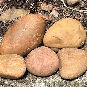 May include: A collection of smooth, rounded stones in various shades of brown and tan. The stones vary in size and shape, with some being elongated and others more compact. The natural stones are arranged on a textured surface.