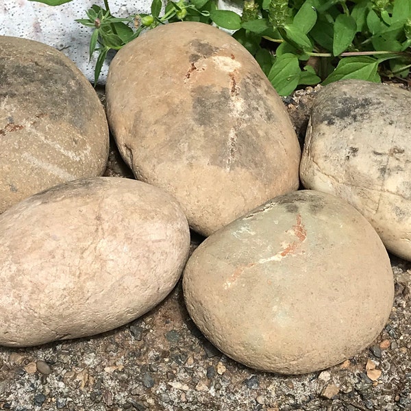 Rocks for Painting Etsy