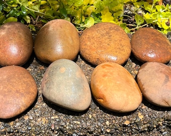 Bags of 8, Natural Smooth River Rocks for Painting, Terrariums, Aquariums +++