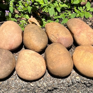 Bags of 8, Natural Smooth River Rocks for Painting, Terrariums, Aquariums +++